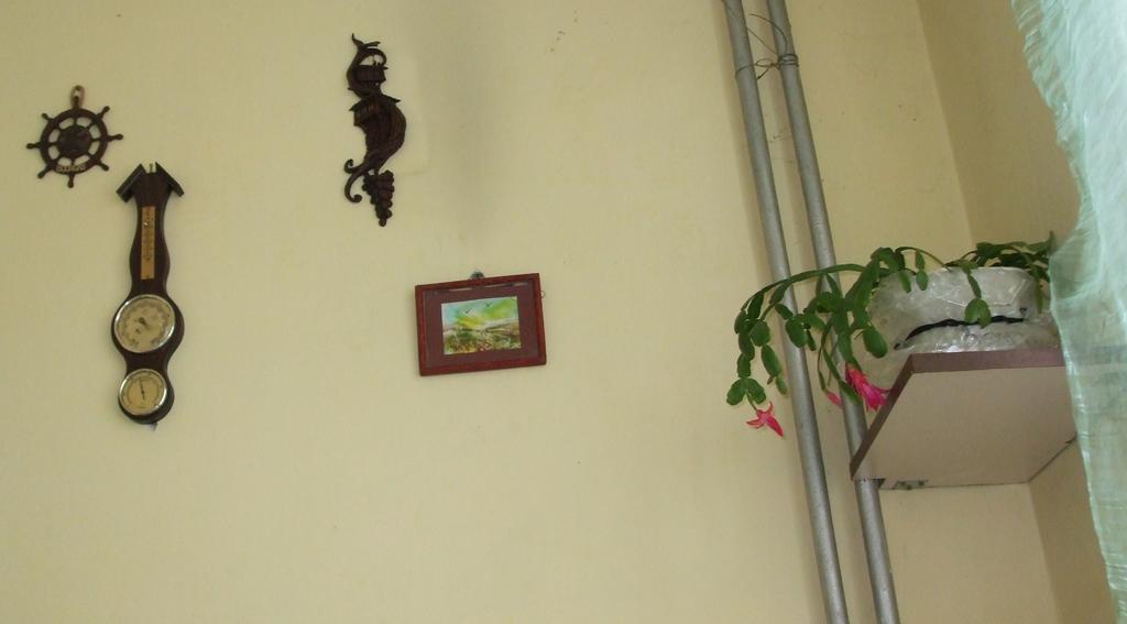 Kamigs Rooms Sofía Habitación foto